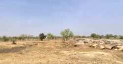 TERRAIN DE 7241 M2 TYPE PAN COUPE EN VENTE A KARPALA
