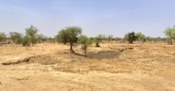 TERRAIN DE 7241 M2 TYPE PAN COUPE EN VENTE A KARPALA