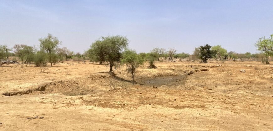 TERRAIN DE 7241 M2 TYPE PAN COUPE EN VENTE A KARPALA