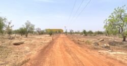 TERRAIN DE 7241 M2 TYPE PAN COUPE EN VENTE A KARPALA