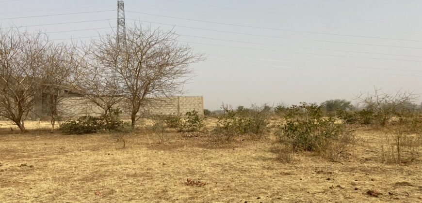 PARCELLE NUE TYPE PAN COUPÉ DE 263 M² EN VENTE À KOUBA