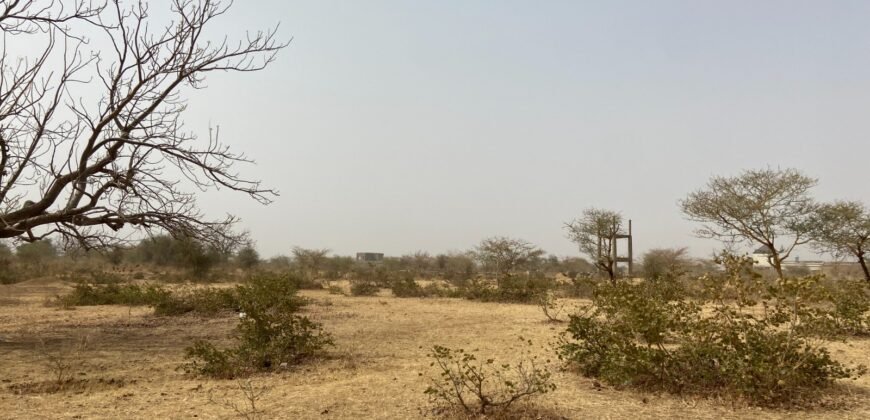 PARCELLE NUE TYPE PAN COUPÉ DE 263 M² EN VENTE À KOUBA