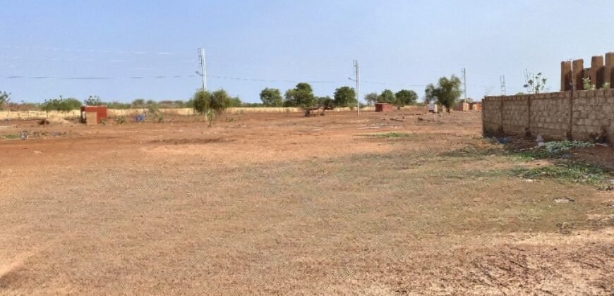 PARCELLE DE 6379 M² EN VENTE À TANGHIN EN PLEINE ZONE COMMERCIALE