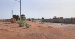 PARCELLE DE 6379 M² EN VENTE À TANGHIN EN PLEINE ZONE COMMERCIALE