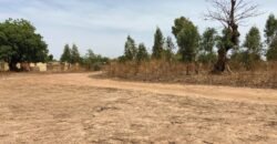 PARCELLE DE 316 M² EN VENTE À OUAGA 2000, SAABTOANA