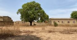 PARCELLE DE 316 M² EN VENTE À OUAGA 2000, SAABTOANA