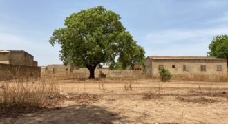 PARCELLE DE 316 M² EN VENTE À OUAGA 2000, SAABTOANA