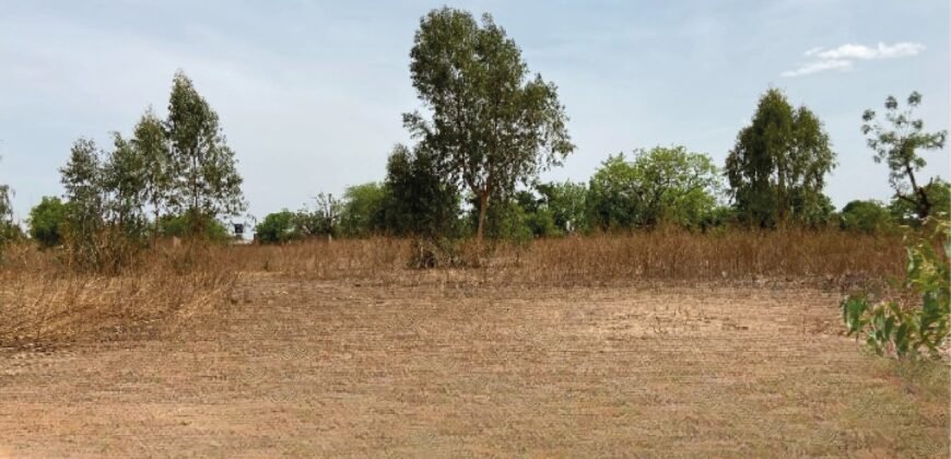 PARCELLE DE 316 M² EN VENTE À OUAGA 2000, SAABTOANA