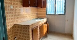 DEUX MINI VILLAS CONSTRUITES SUR UNE PARCELLE DE 300 M² EN VENTE A BALKUY