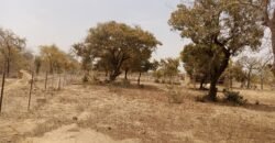 UN TERRAIN D&rsquo;UNE SUPERFICIE D&rsquo;UN HECTARE M² EN VENTE A PABRE