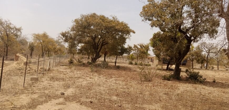 UN TERRAIN D&rsquo;UNE SUPERFICIE D&rsquo;UN HECTARE M² EN VENTE A PABRE