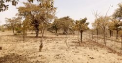 UN TERRAIN D&rsquo;UNE SUPERFICIE D&rsquo;UN HECTARE M² EN VENTE A PABRE