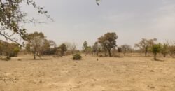 UN TERRAIN D&rsquo;UNE SUPERFICIE D&rsquo;UN HECTARE M² EN VENTE A PABRE