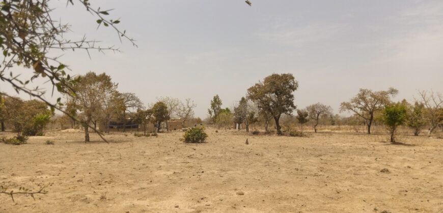 UN TERRAIN D&rsquo;UNE SUPERFICIE D&rsquo;UN HECTARE M² EN VENTE A PABRE