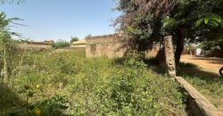 OPPORTUNITÉ IMMOBILIÈRE À DASSASGHO : UNE PARCELLE DE 338 m²