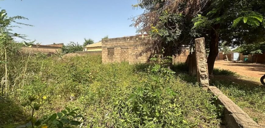 OPPORTUNITÉ IMMOBILIÈRE À DASSASGHO : UNE PARCELLE DE 338 m²
