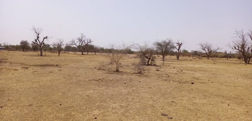 GRANDE OPPORTUNITÉ D’INVESTISSEMENT : TERRAIN DE 10 000 m² EN VENTE À DONSIN