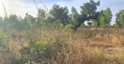 À VENDRE : TERRAIN DE 8 000 M² À PROXIMITÉ DU PÉAGE DE KOUBRI