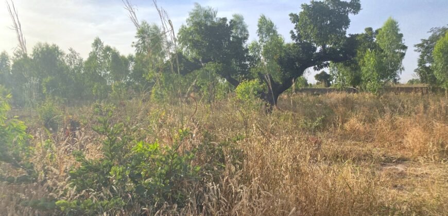 À VENDRE : TERRAIN DE 8 000 M² À PROXIMITÉ DU PÉAGE DE KOUBRI