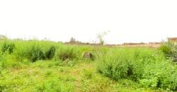 À VENDRE : TERRAIN CLÔTURÉ DE 5 000 M² À BASSINKO – BISSIGHIN