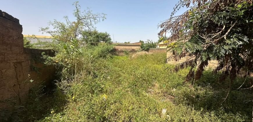 OPPORTUNITÉ IMMOBILIÈRE À DASSASGHO : UNE PARCELLE DE 338 m²