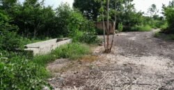 GRANDE OPPORTUNITÉ FONCIÈRE À KOUBRI (KOUNDA) : 22 309 M² À VENDRE