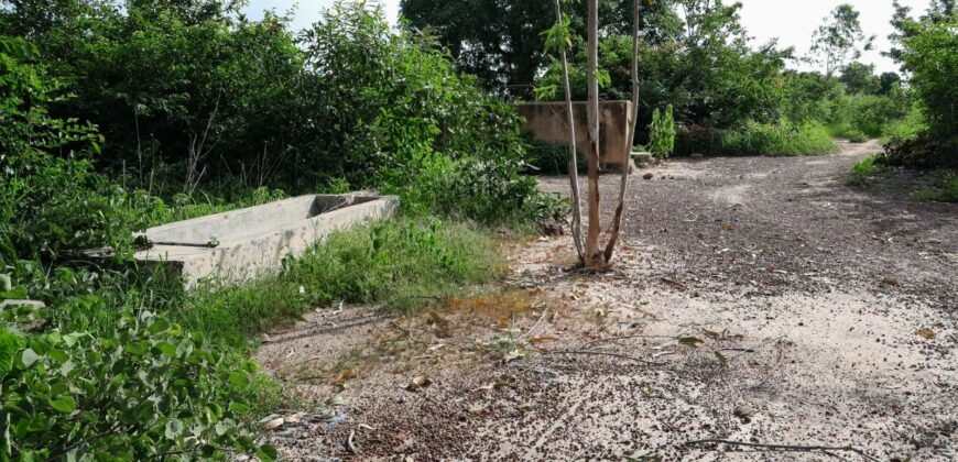 GRANDE OPPORTUNITÉ FONCIÈRE À KOUBRI (KOUNDA) : 22 309 M² À VENDRE