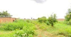 À VENDRE : TERRAIN CLÔTURÉ DE 5 000 M² À BASSINKO – BISSIGHIN