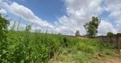 OPPORTUNITÉ D’INVESTISSEMENT : PARCELLE DE 1 500 M² À VENDRE EN ZONE INDUSTRIELLE DE BASSINKO