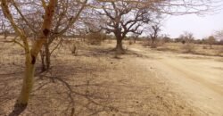 GRANDE OPPORTUNITÉ D’INVESTISSEMENT : TERRAIN DE 10 000 m² EN VENTE À DONSIN