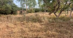 OPPORTUNITÉ FONCIÈRE À TENGANDOGO : 1 HECTARE À SAISIR