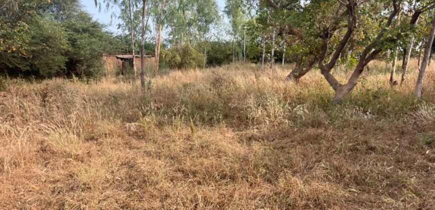 OPPORTUNITÉ FONCIÈRE À TENGANDOGO : 1 HECTARE À SAISIR
