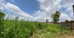 OPPORTUNITÉ D’INVESTISSEMENT : PARCELLE DE 1 500 M² À VENDRE EN ZONE INDUSTRIELLE DE BASSINKO