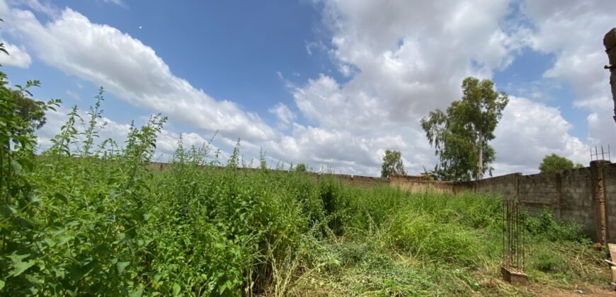OPPORTUNITÉ D’INVESTISSEMENT : PARCELLE DE 1 500 M² À VENDRE EN ZONE INDUSTRIELLE DE BASSINKO