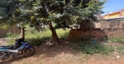 OPPORTUNITÉ IMMOBILIÈRE À DASSASGHO : UNE PARCELLE DE 338 m²