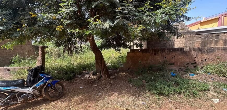 OPPORTUNITÉ IMMOBILIÈRE À DASSASGHO : UNE PARCELLE DE 338 m²