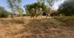 OPPORTUNITÉ FONCIÈRE À TENGANDOGO : 1 HECTARE À SAISIR
