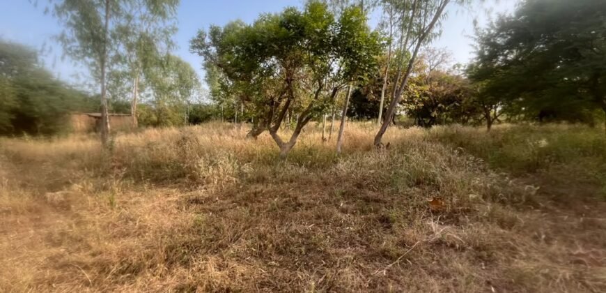 OPPORTUNITÉ FONCIÈRE À TENGANDOGO : 1 HECTARE À SAISIR