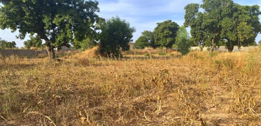 À VENDRE : TERRAIN DE 8 000 M² À PROXIMITÉ DU PÉAGE DE KOUBRI