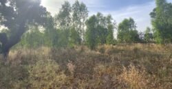 À VENDRE : TERRAIN DE 8 000 M² À PROXIMITÉ DU PÉAGE DE KOUBRI