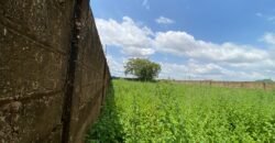 OPPORTUNITÉ D’INVESTISSEMENT : PARCELLE DE 1 500 M² À VENDRE EN ZONE INDUSTRIELLE DE BASSINKO