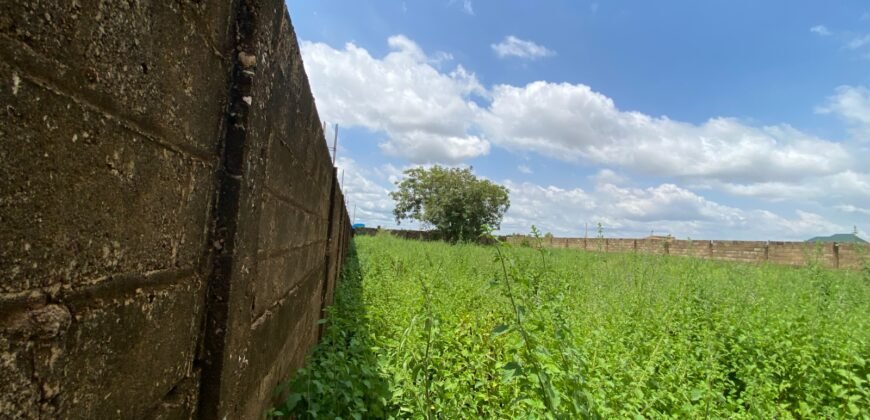 OPPORTUNITÉ D’INVESTISSEMENT : PARCELLE DE 1 500 M² À VENDRE EN ZONE INDUSTRIELLE DE BASSINKO