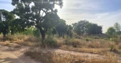 À VENDRE : TERRAIN DE 8 000 M² À PROXIMITÉ DU PÉAGE DE KOUBRI