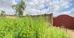 OPPORTUNITÉ D’INVESTISSEMENT : PARCELLE DE 1 500 M² À VENDRE EN ZONE INDUSTRIELLE DE BASSINKO