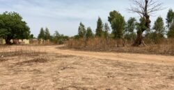 UNE PARCELLE DE 250 M² EN VENTE À OUAGA 2000, SAABTOANA