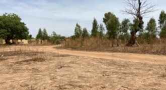 UNE PARCELLE DE 250 M² EN VENTE À OUAGA 2000, SAABTOANA