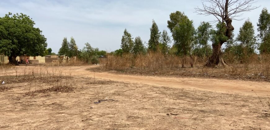 UNE PARCELLE DE 250 M² EN VENTE À OUAGA 2000, SAABTOANA