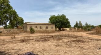 UNE PARCELLE DE 303 M² EN VENTE À OUAGA 2000, SAABTOANA