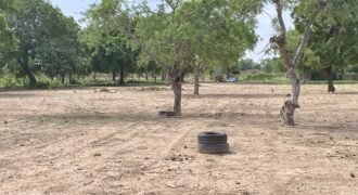 TERRAIN DE 12 151 M² EN VENTE À GAMPELA