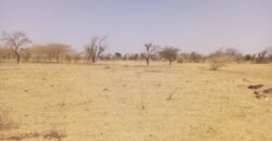 GRANDE OPPORTUNITÉ D’INVESTISSEMENT : TERRAIN DE 10 000 m² EN VENTE À DONSIN